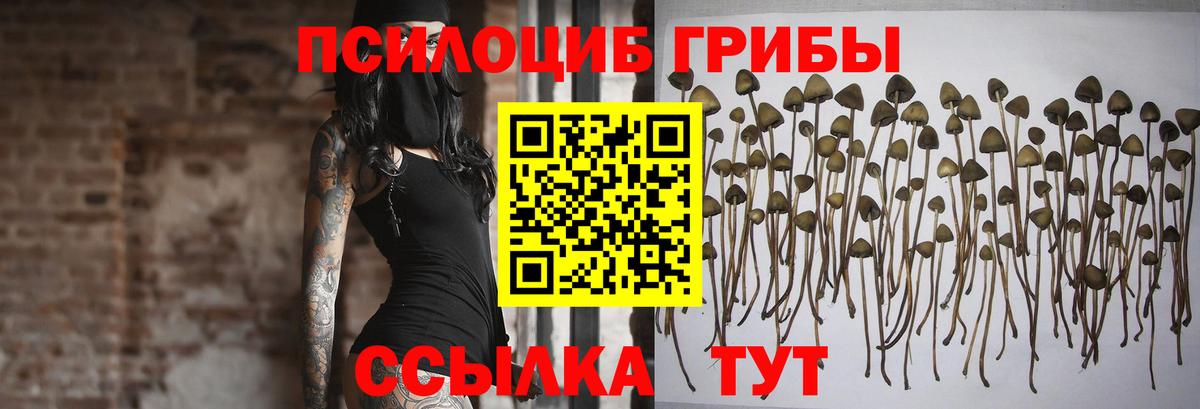 Кохма  Галлюциногенные грибы мицелий  Вход с VPN 