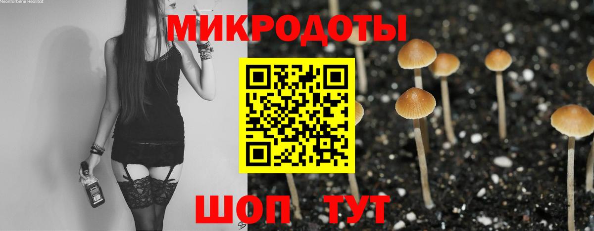 ГАШ Кохма