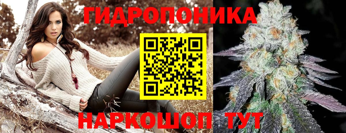 МАРИХУАНА Amnesia Кохма