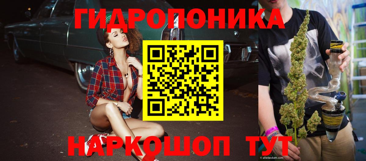 Бошки Шишки Ganja  МАРИХУАНА семена  Конопля индика  Кохма  Вход с VPN 